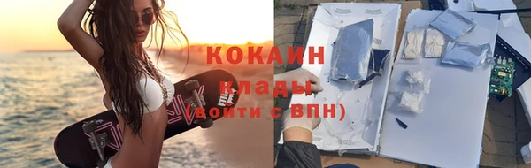 тгк Болотное