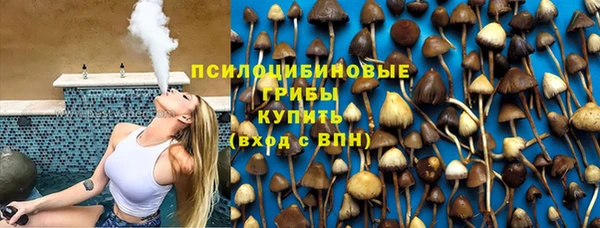 синтетический гашиш Алексеевка