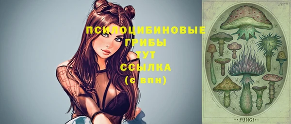 прущие крисы Алексин